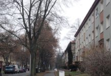 Lidé z ulice 28. října rozhodli o prořezání stromořadí