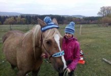 Vánoce můžete v Podlesí letos poprvé oslavit s koňmi