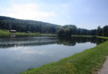 Část úprav Nového rybníka začne do léta, ale sezónu neomezí