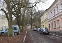 Kaštany u průmyslovky musí pryč kvůli bezpečnosti