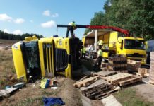 Převrácený kamion a vosa jako viník nehody