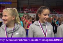 Dívky ze Sokola Příbram získaly pohár města v TeamGymu