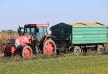 Nešikovný zloděj ztratil posed