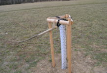 Vandalové zničili několik stromů u cyklostezky do Bohutína