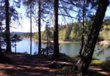 Hasiči a policie vyjížděli k nedohašenému ohništi v Brdech