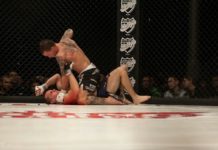 Sportovní hala bude v sobotu patřit bojovníkům MMA