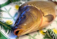 Podle výzkumu tradice vánočního kapra v ČR stále dominuje