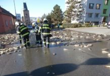 Kuriózní zásahy středočeských hasičů v letošním roce