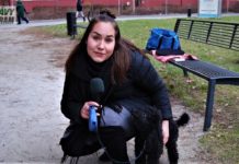 Co čeká Příbram v letošním roce