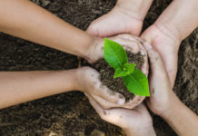 Armáda se zapojí do obnovy lesů po kalamitě