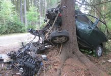 Při nehodě přerazil strom