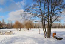 V areálu Nový rybník probíhá prořez stromů, dbejte zvýšené opatrnosti