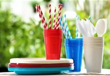 Vláda schválila zákaz některých jednorázových plastových výrobků