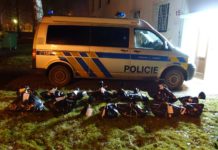 Příbramská policie vyšetřuje nález uhynulých zvířat a prosí veřejnost o pomoc