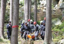 Policie děkuje za pomoc při pátrání po dvou pohřešovaných osobách a radí, jak v takovém případě postupovat