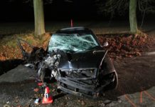 Mladá žena nepřežila náraz auta do stromu