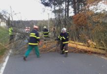 Silný vítr zaměstnává hasiče. Odstraňují především padlé stromy. Vyjížděli ale i k požáru či vyproštění osob