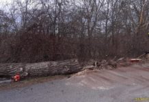 Silný vítr potrápil středočeské hasiče