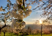 Přijďte si o víkendu dobít baterky do Svatohorských sadů