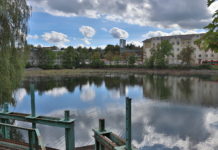 Rybáři do Dolejší Obory vysadí amury, pomohou s regulací porostu v rybníku