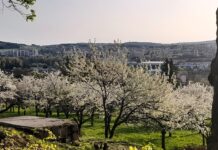 Svatohorský sad ožívá: Spolek v rámci Bobcat Day zapojí děti z příbramských škol
