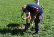Kraj podpoří péči o více než tisíc středočeských stromů