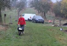 Dobrovolníci pokračují v obnově sadu na Svaté Hoře