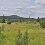 Jezerní slať – Kvilda léto