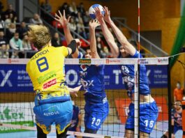 Příbramští Kocouři vstupují do nové extraligové sezony. V sobotu doma přivítají Ústí nad Labem