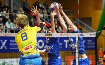 Příbramští Kocouři vstupují do nové extraligové sezony. V sobotu doma přivítají Ústí nad Labem