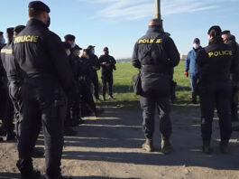 Pomněnkový den připomíná pohřešované děti. Policisté na Příbramsku loni hledali 14 dětí a 6 seniorů