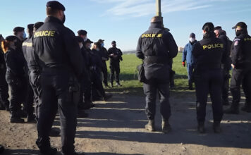 Pomněnkový den připomíná pohřešované děti. Policisté na Příbramsku loni hledali 14 dětí a 6 seniorů