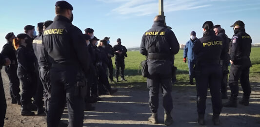 Pomněnkový den připomíná pohřešované děti. Policisté na Příbramsku loni hledali 14 dětí a 6 seniorů