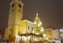 Technické služby hledají vánoční strom pro příbramské náměstí