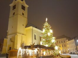 Technické služby hledají vánoční strom pro příbramské náměstí