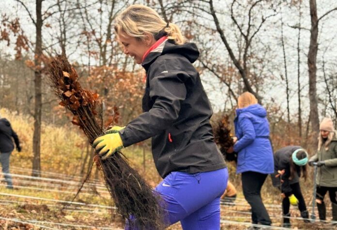 Dolní Hbity stromy (1)