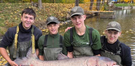 Do rožmitálského rybníka vysadili třicetikilové tolstolobiky, mezi nimi i vzácného albína