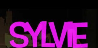 Na co a kam o víkendu vyrazit? Nabitý víkend v Příbrami: koncerty, techno, divadlo i volejbal a hokej