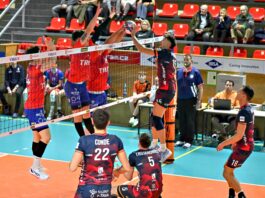Kocouři v sobotu vyzvou pražské Lvy. Pro Lukea Smithe půjde o souboj s bývalým klubem