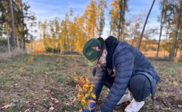 Sázíme Česko posiluje spolupráci s Dolními Hbity. Stromy porostou i v dalších letech