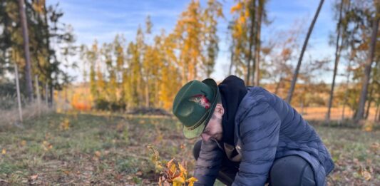 Sázíme Česko posiluje spolupráci s Dolními Hbity. Stromy porostou i v dalších letech
