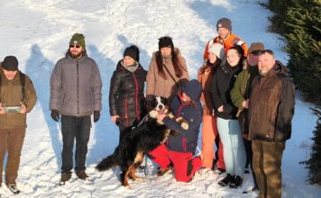 Tři týdny na útěku. Zraněná fenka Týna přežila Brdy, silnice i zimu