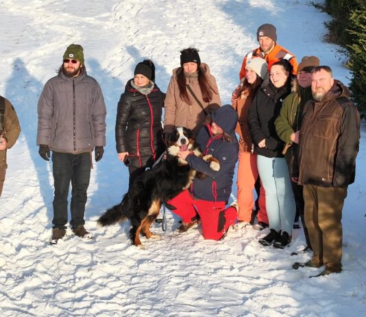 Tři týdny na útěku. Zraněná fenka Týna přežila Brdy, silnice i zimu