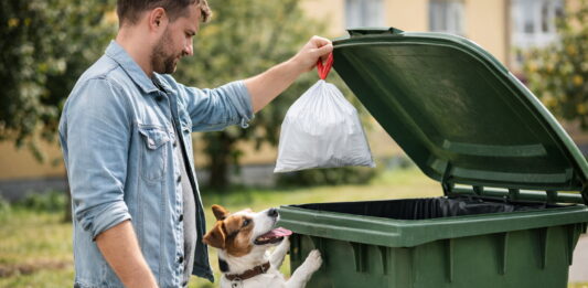 Poplatky za odpady a psy v Příbrami zůstávají stejné, zaplatit je nutné do konce března