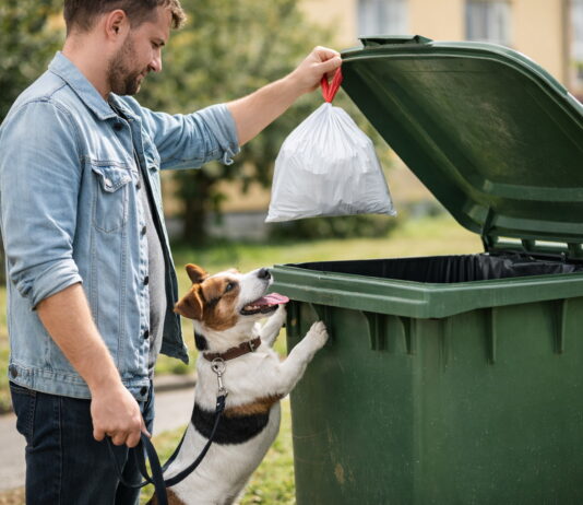 Poplatky za odpady a psy v Příbrami zůstávají stejné, zaplatit je nutné do konce března