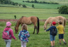 Příměstský tábor na farmě láká děti na prázdninové dobrodružství