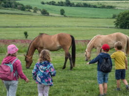 Příměstský tábor na farmě láká děti na prázdninové dobrodružství