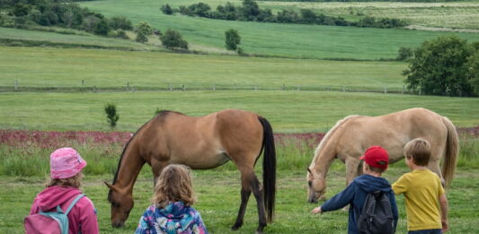 Příměstský tábor na farmě láká děti na prázdninové dobrodružství