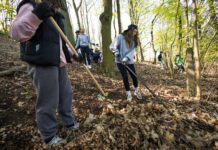 Zaměstnanci Bobcat, stovky studentů i dobrovolníci opět pomáhali s obnovou sadů na Svaté Hoře