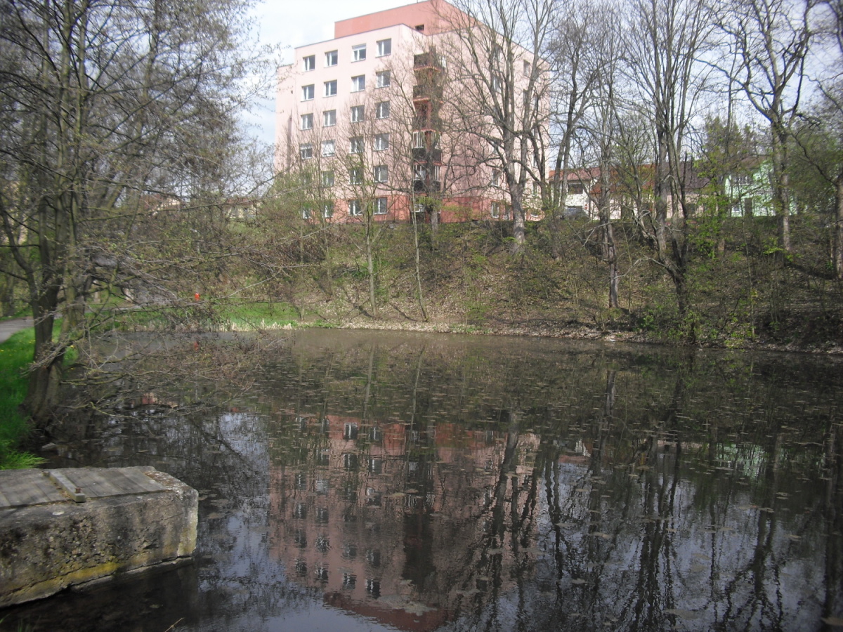 Before image